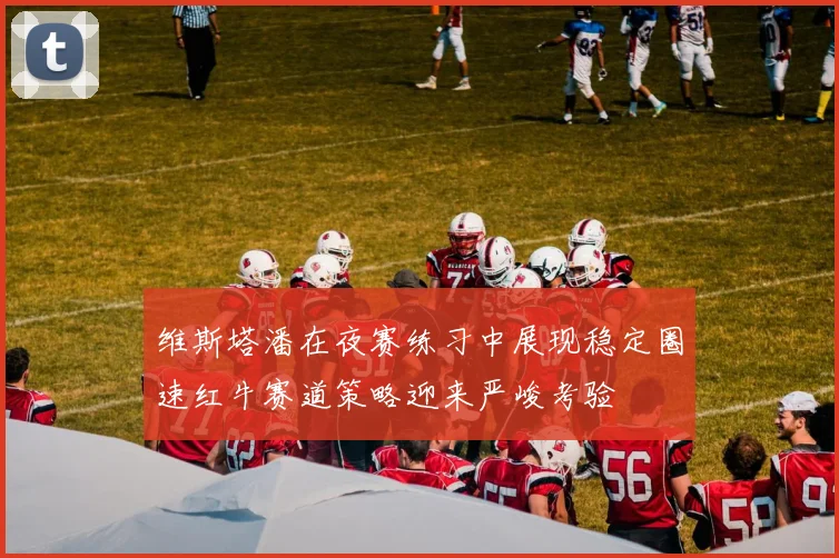维斯塔潘在夜赛练习中展现稳定圈速红牛赛道策略迎来严峻考验